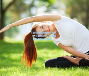 【壹号娱乐在线平台】巴萨新圣殿启航，梅西之名响彻云霄，诺坎普精神在新时代回响